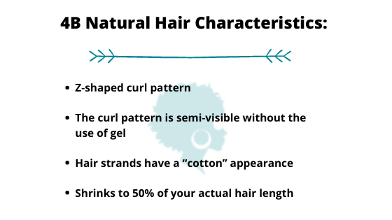 4B Natural Hair Type